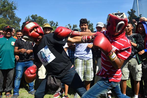 tomcat7安裝包下載_違規(guī)收受捐款，高市早苗道歉