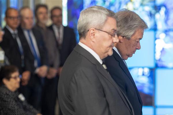 unix課設(shè)聊天室_《馴龍高手3》即將上線：少年與龍勇闖秘境，一起體會成長的滋味