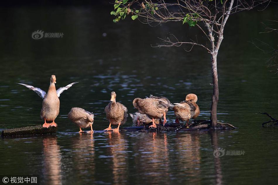 cslo怎么反下線_2026年，如果房價繼續(xù)下跌，中國50%的家庭或?qū)⒚媾R3個大麻煩