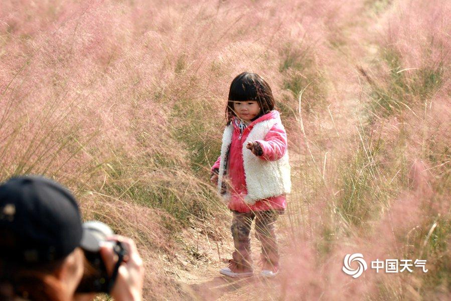 國內(nèi)comfyui工作流下載_花兩千元買兩鍋？新鄉(xiāng)打掉3個“黑旅行社”