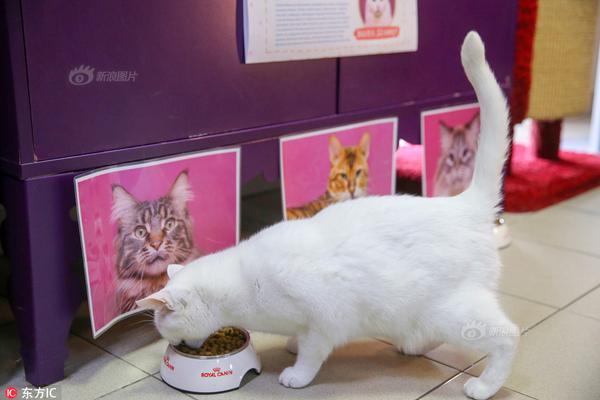 web3錢包轉(zhuǎn)賬需要激活嗎為什么_外交部就所謂“雷達(dá)照射”反問日方