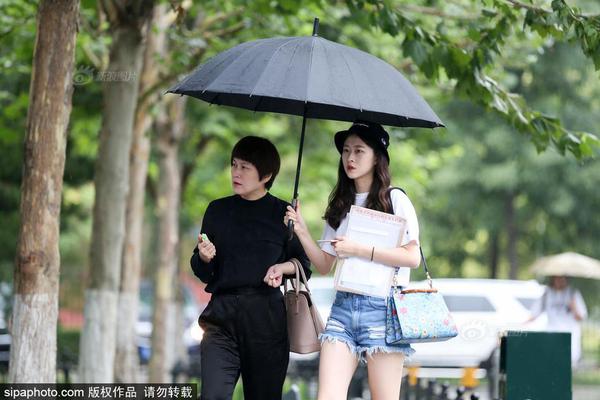 采用TNGA 全新雷凌搶先拍