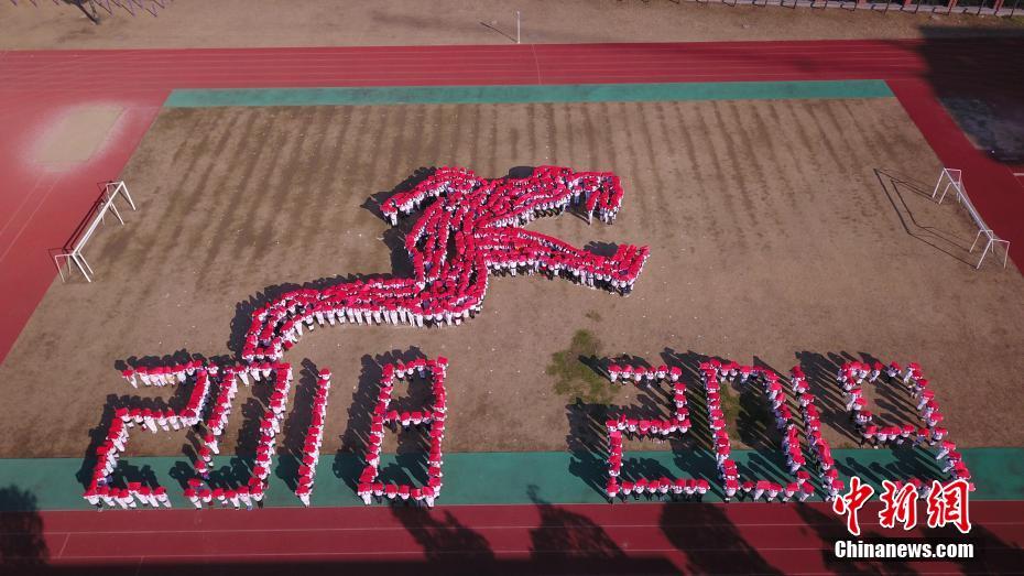 用什么分析網(wǎng)頁(yè)輔助抓取數(shù)據(jù)_大雪節(jié)氣后花城現(xiàn)花海！馬嶺觀花植物園80畝三角梅盛花迎客