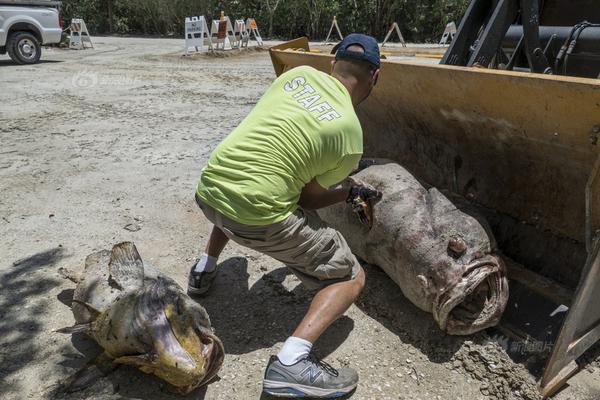 web測(cè)試用例實(shí)例_格力電器到底是一只股票還是債券？