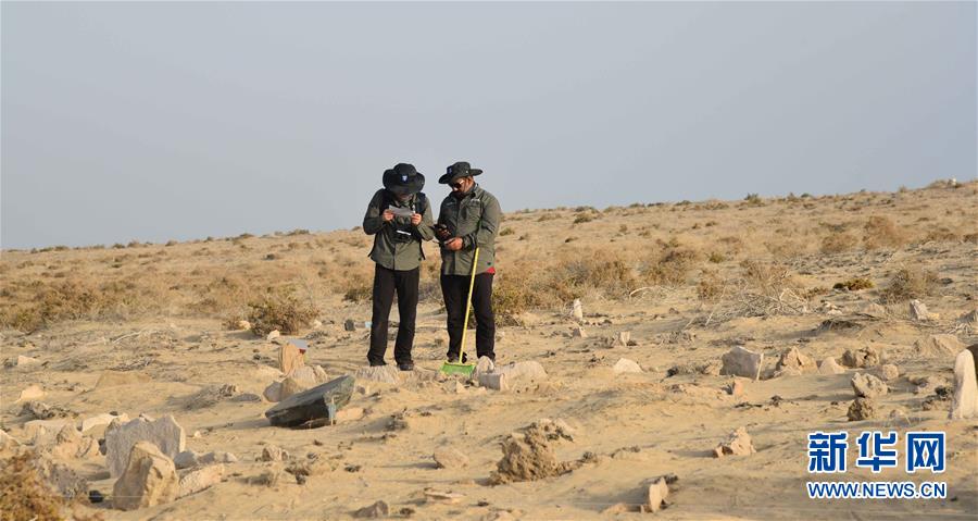 web服務(wù)擴(kuò)展功能在哪_浙江省發(fā)布近視防控意見