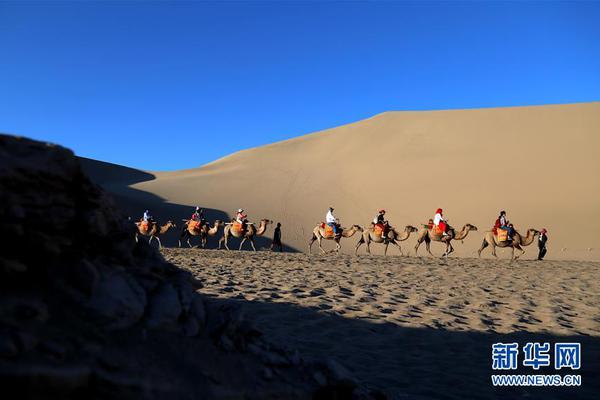 有些網(wǎng)站打不開是怎么回事_中央經(jīng)濟工作會議在北京舉行 習近平發(fā)表重要講話