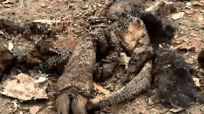 科學(xué)網(wǎng)漏斗創(chuàng)新_走遍六大洲，三次被宣布死亡，一個門將的離譜人生