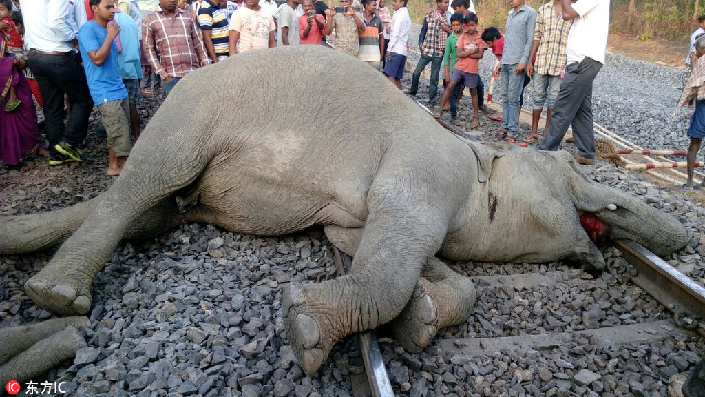 泰軍使用F16攻擊軍事陣地平民區(qū) 柬軍發(fā)射大量火箭彈