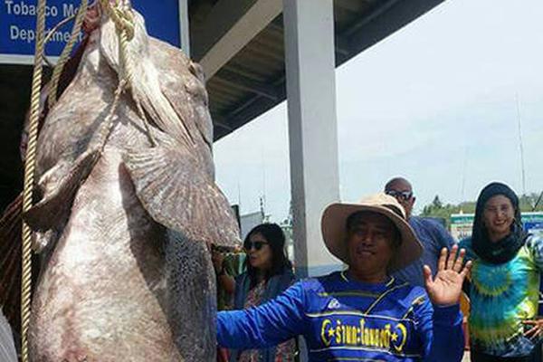 eyoucms后臺(tái)用戶名和密碼_英國(guó)首相被指明年1月底訪華 外交部回應(yīng)