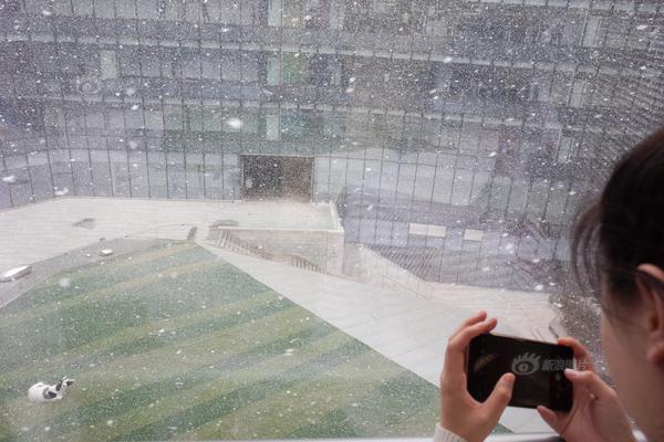 后臺被監(jiān)控有什么信息_尋找城市之光：為你的城市代言