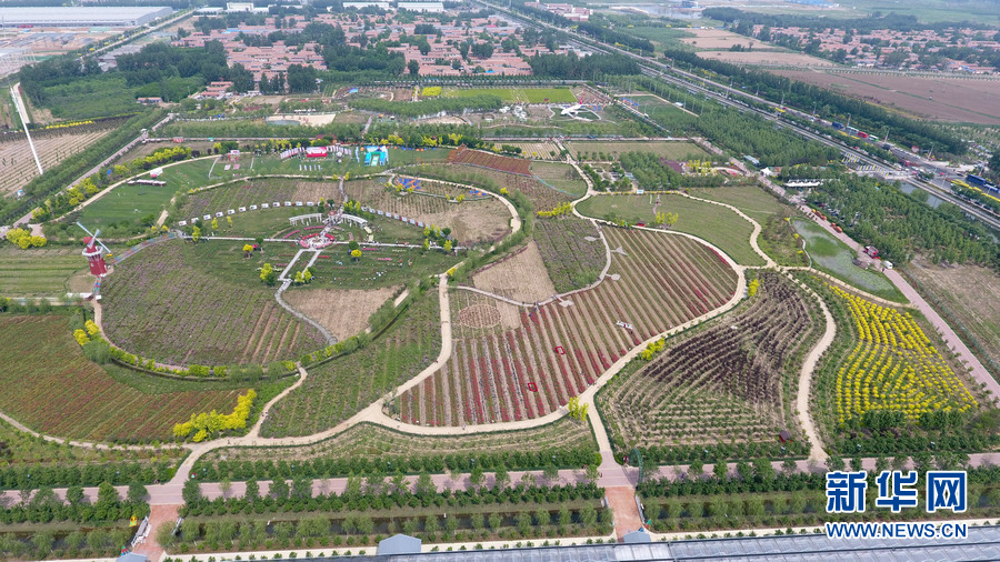 iis配置后s打不開怎么辦_中國(guó)最缺大學(xué)的省，瘋狂建大專