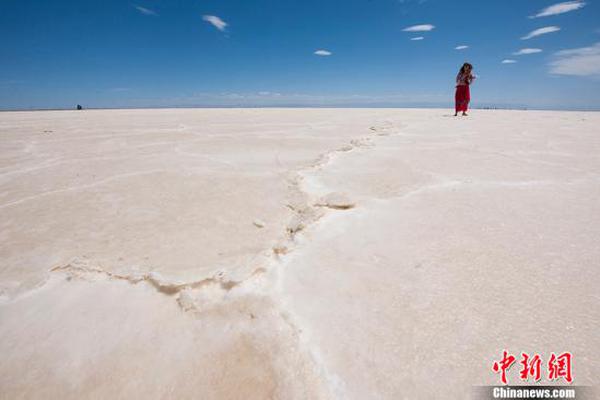 kali怎么設置中文_地平線蘇箐：未來三年，自動駕駛行業(yè)將告別范式迭代狂飆