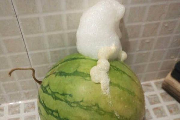 安全漏洞游戲電腦版下載在線玩_英特爾已簽署收購(gòu) AI 芯片企業(yè) SambaNova 意向書(shū)