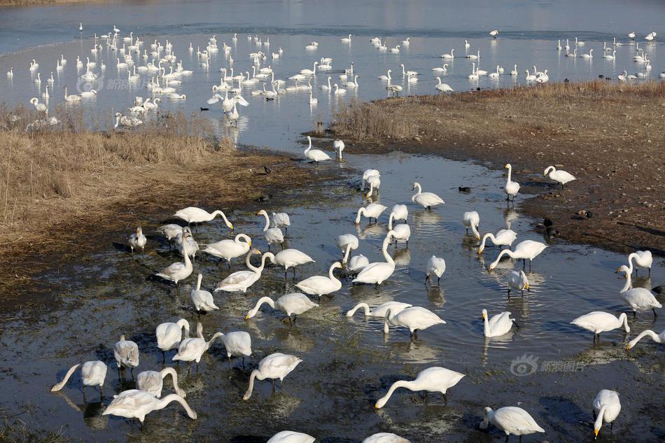 軟考中級(jí)信息安全工程師教材講義_從六方面看決定持股過節(jié)