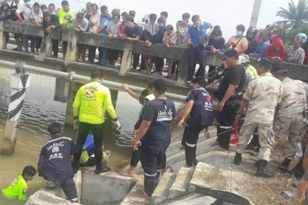 政府門戶網(wǎng)站管理制度解讀_“十五五”規(guī)劃建議開啟全球綠色合作新機遇