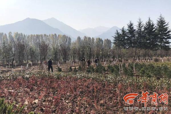 被黑客攻擊了的后果_【8點(diǎn)見】廣東汕頭一住宅發(fā)生火災(zāi)，致8死4傷