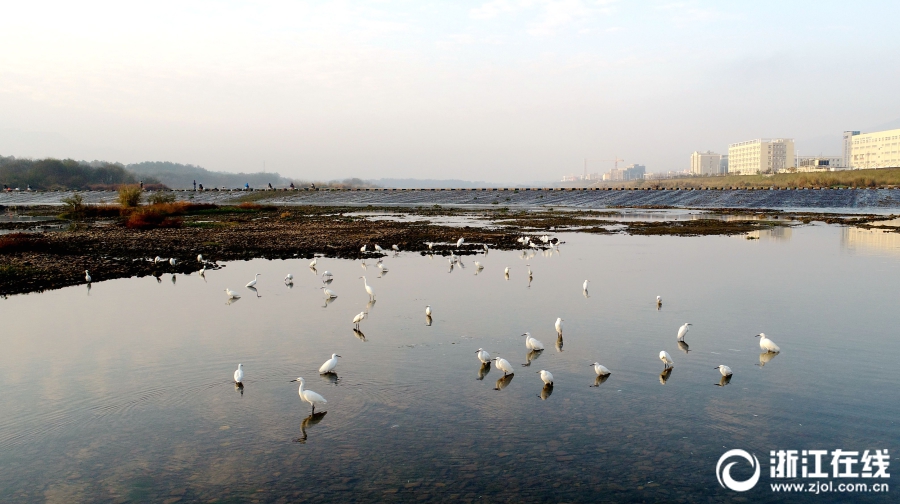 京東搶茅臺輸入虛擬資產(chǎn)密碼影響搶購_藍戰(zhàn)非回應在南非被綁架：綁匪提前半年布局