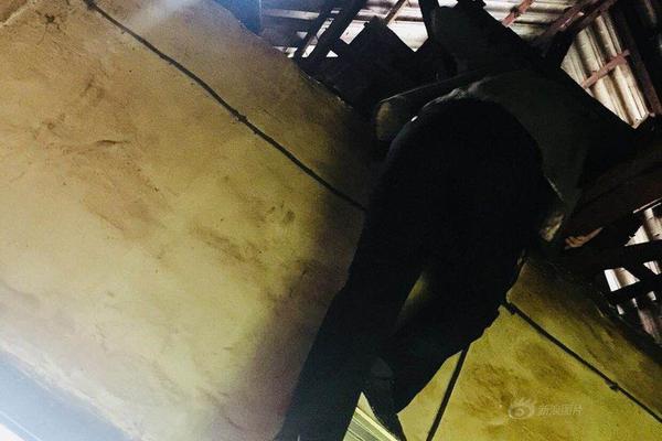 經(jīng)營(yíng)3d黑彩是非法經(jīng)營(yíng)還是賭博罪_哈維-西蒙斯：很享受現(xiàn)在的狀態(tài)；我和孫興慜稍微聊了一下