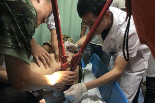 史鐵生簡介及作品_香港故事丨守護共同記憶——香港百歲古樹“扶正”記