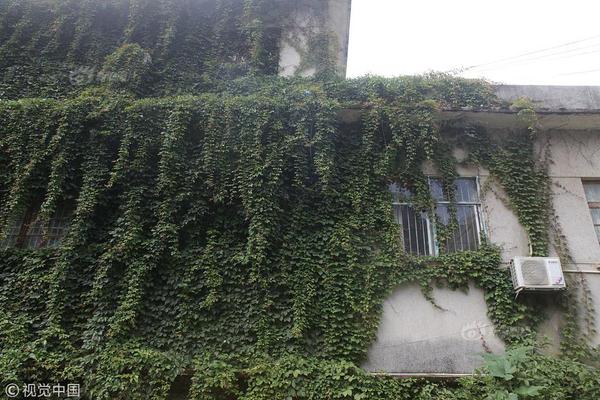 騰訊視頻vip永久破解_三折疊巔峰對決 三星能否終結(jié)華為無盡的寂寞