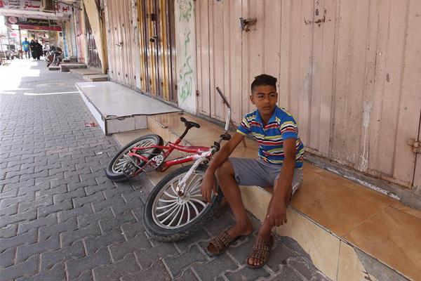 視頻修復網(wǎng)頁版_反季節(jié)蔬菜吃了等于白吃?謠言