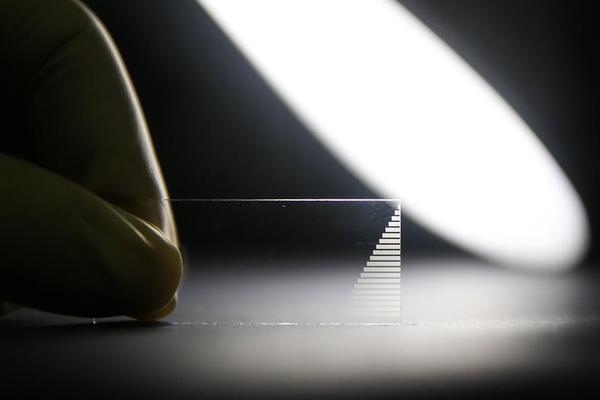 視頻修復網(wǎng)頁版_反季節(jié)蔬菜吃了等于白吃?謠言