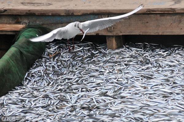 跨境電商企業(yè)會計面臨的現(xiàn)狀_《罪惡少女X》眾籌目標(biāo)已達(dá)成