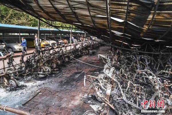 第三方平臺(tái)：預(yù)計(jì)12月中日航線航班取消率達(dá)30.4%