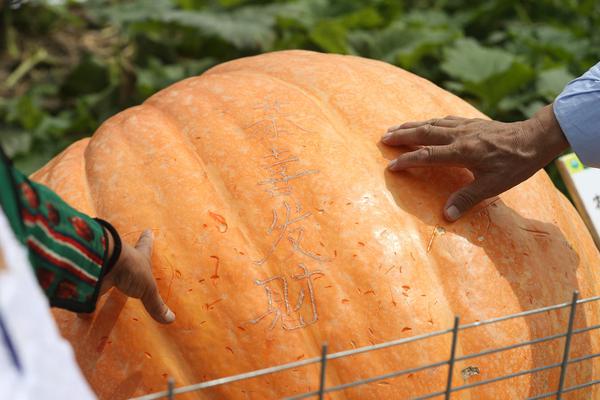 代理服務(wù)器怎么設(shè)置在哪里_香港半島酒店 香港熱度 3070