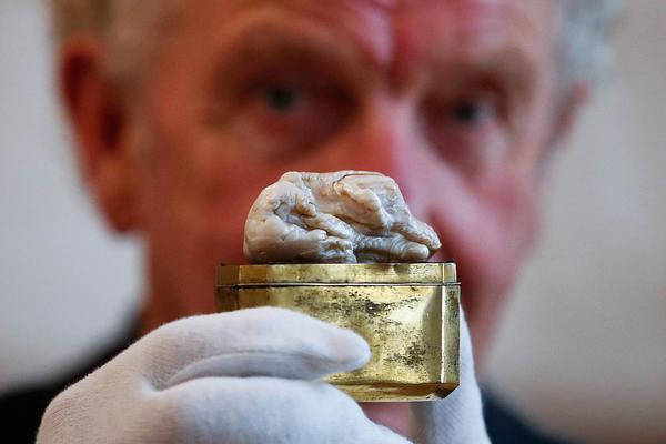 作文素材分類有幾種類型_打HPV疫苗會絕育系謠言