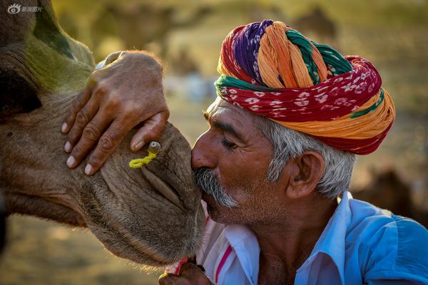 袋鼠點(diǎn)點(diǎn)視頻賺錢騙子_日媒：中國施壓日本 美國冷眼旁觀