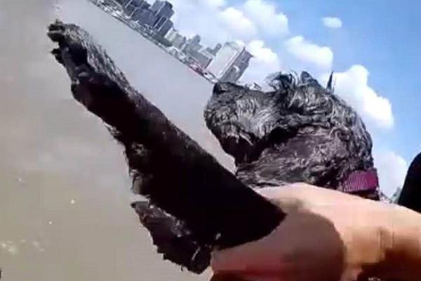 盜取個人信息是什么違法行為_任上呼吁人民“拿鐵鍬”參戰(zhàn) 烏前外長:不會自愿入伍