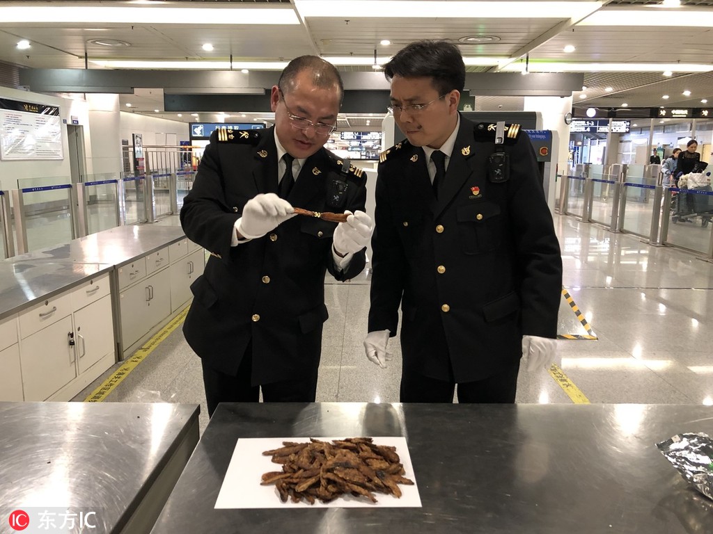 流量精靈刷了2天停掉網(wǎng)站會被k嗎_美軍2架F-18戰(zhàn)機飛入委內(nèi)瑞拉領(lǐng)空 停留至少40分鐘