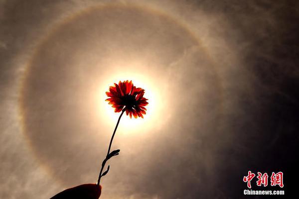 python密碼破解程序代碼_科技守護(hù)千年文明之光