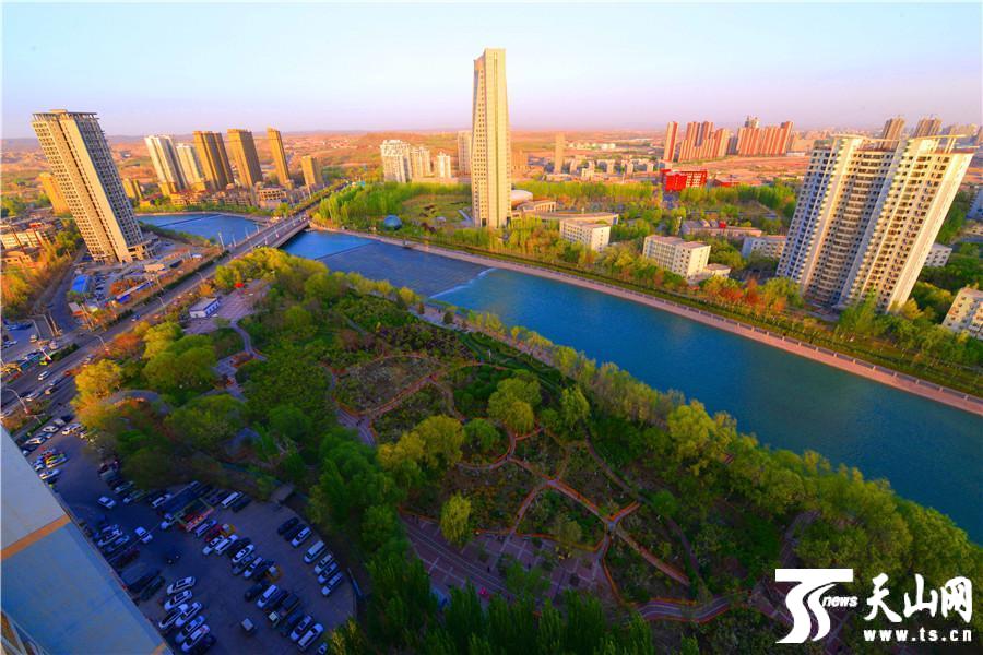 騰訊地圖街景實時地圖電腦版_劉濤文牧野亮相托納多雷新片羅馬首映紅毯