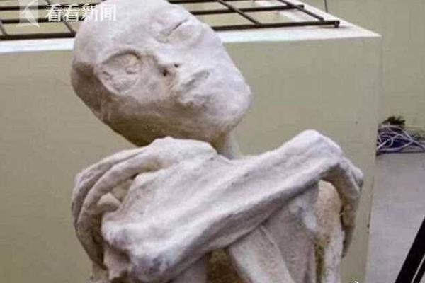 漏洞掃描系統(tǒng)sec6000_鴻蒙智行五界老總稱明年不客氣了