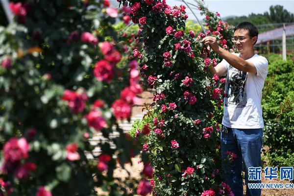 星火成炬｜用愛澆灌 讓愛發(fā)芽