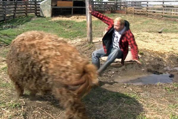 前魯能外援西塞效力球隊車禍 本人傷情無礙隊友去世