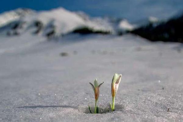 同一個(gè)網(wǎng)站別的電腦能打開我的不能_廣東成立調(diào)查組 徹查汕頭火災(zāi)原因