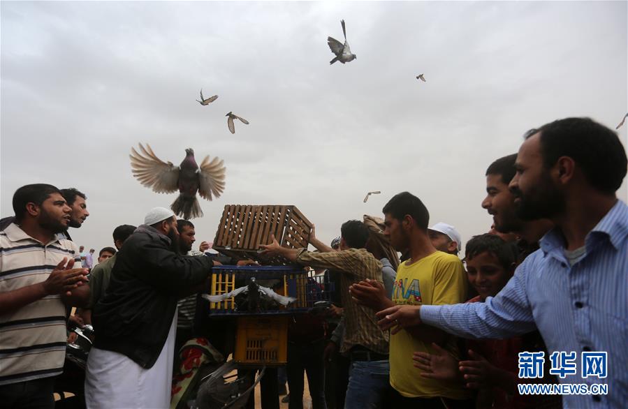 冒充網(wǎng)購客服退款詐騙案例_大師畫喜鵲，抬頭見喜