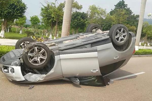 柿子不能和牛奶魚蝦一起吃?假的