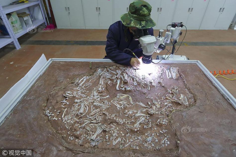 萬網(wǎng)dns解析記錄查詢_蔡瀾書法作品展現(xiàn)獨特風格，作品引發(fā)熱議