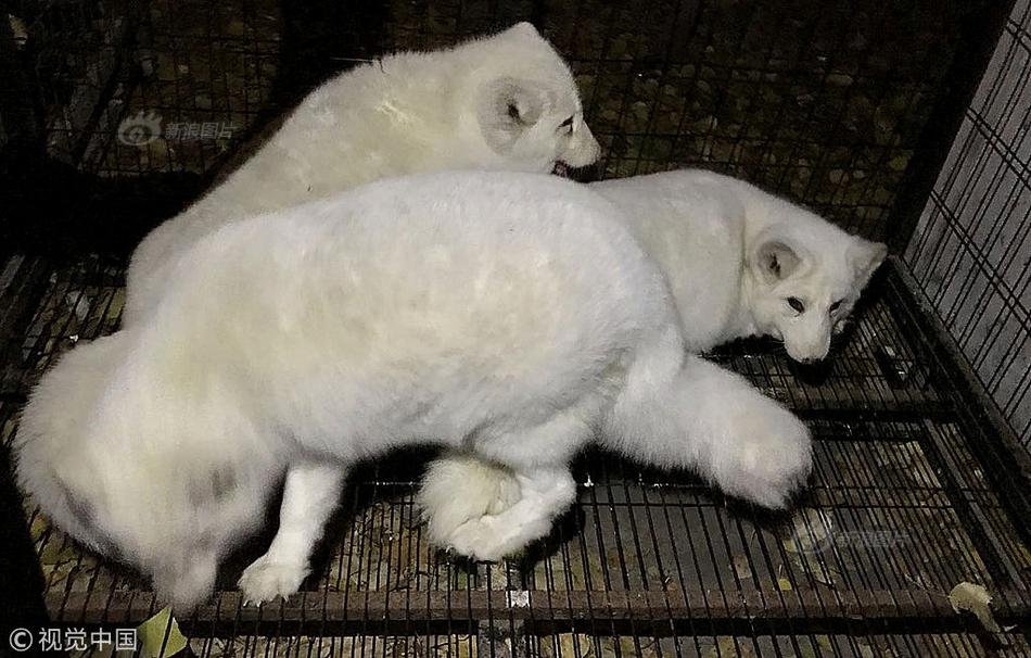 抖音數(shù)據(jù)漏斗怎么看_納達爾榮膺2025勞倫斯體育傳奇獎