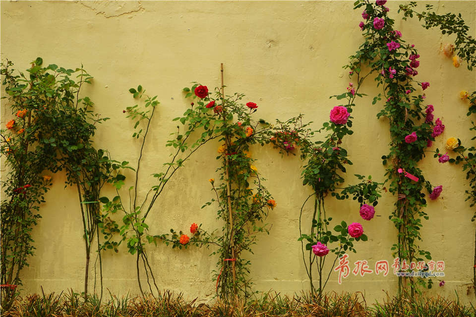 通訊口抓包工具免費版_突破4000列！阿拉山口鐵路口岸運力升級