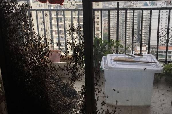 第二十一屆長(zhǎng)沙國(guó)際車展啟幕 全球車企比拼新技術(shù)