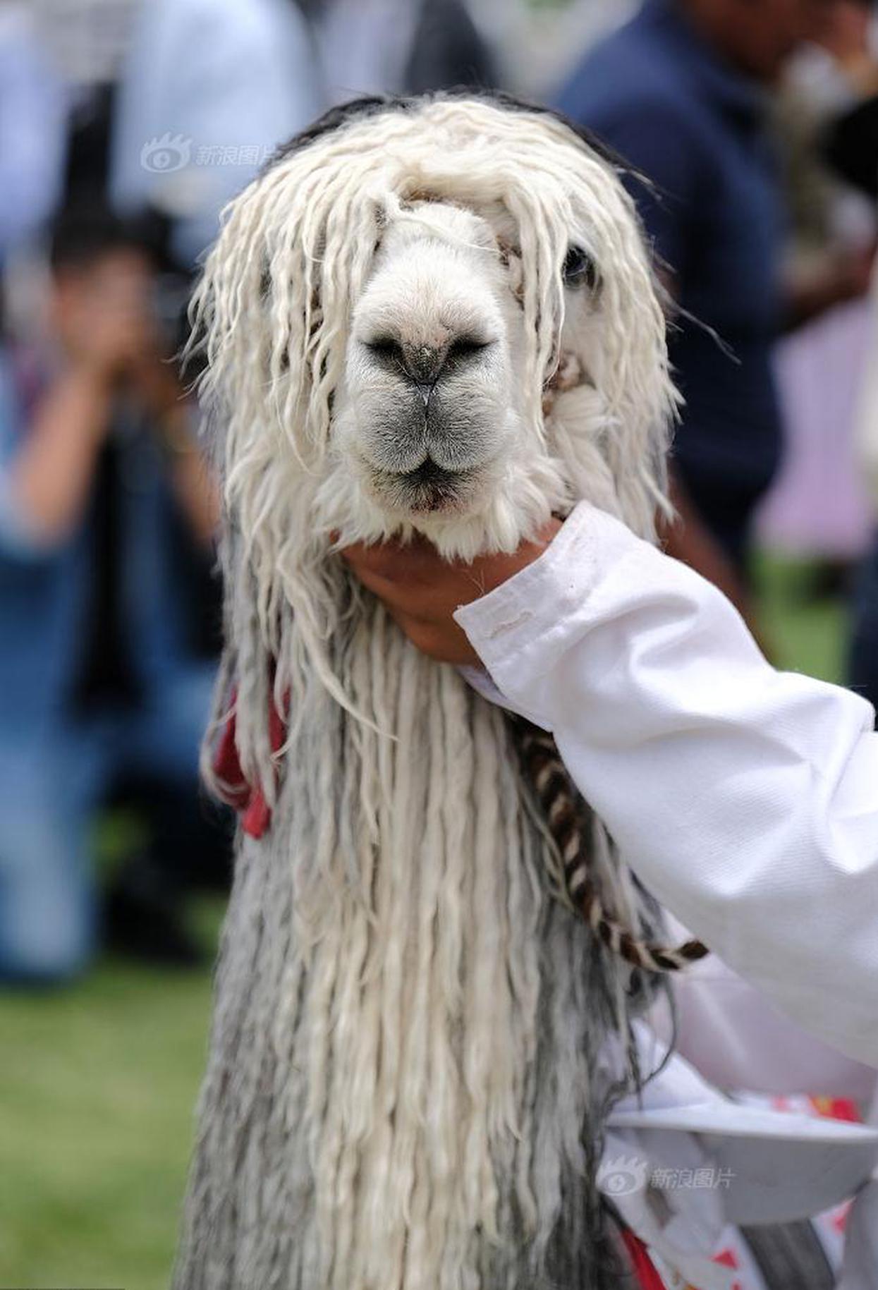 網(wǎng)易公布2024年第一季度財報