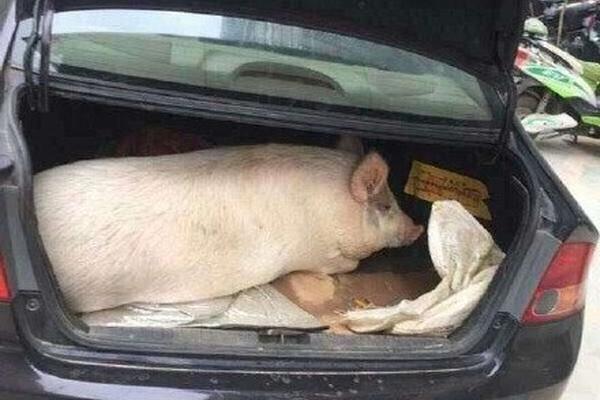 2024小額貸款平臺_那些大額存單到期的人，錢該往哪放？