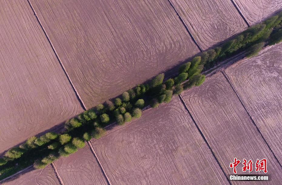 24年黑戶可以下的口子_一份年報(bào)三次“變臉”，5G時(shí)代來(lái)臨北訊集團(tuán)卻虧得找不北