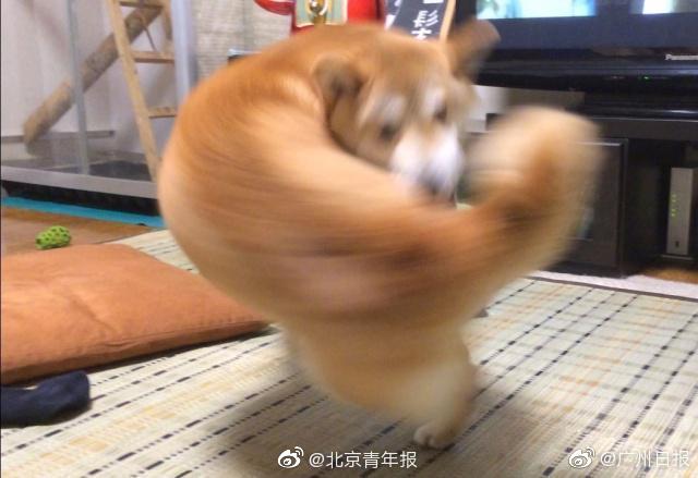 網(wǎng)絡邊界防護措施什么意思_楊瀚森后腦勺撞地板后續(xù):出現(xiàn)頭暈頭疼現(xiàn)象