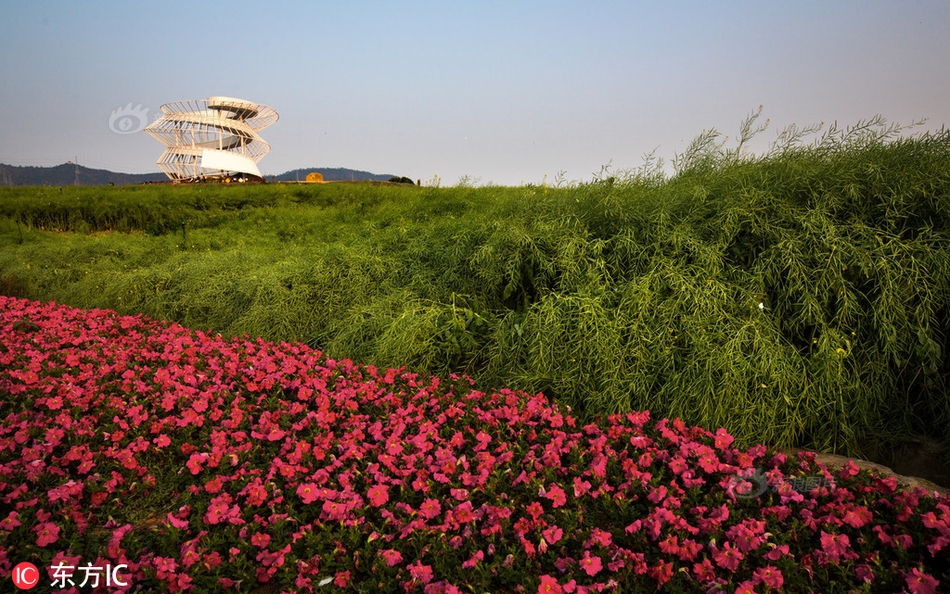 為什有些網(wǎng)頁無法訪問_斯里蘭卡警方配錯照片 名校大學生一覺醒來成恐襲嫌犯
